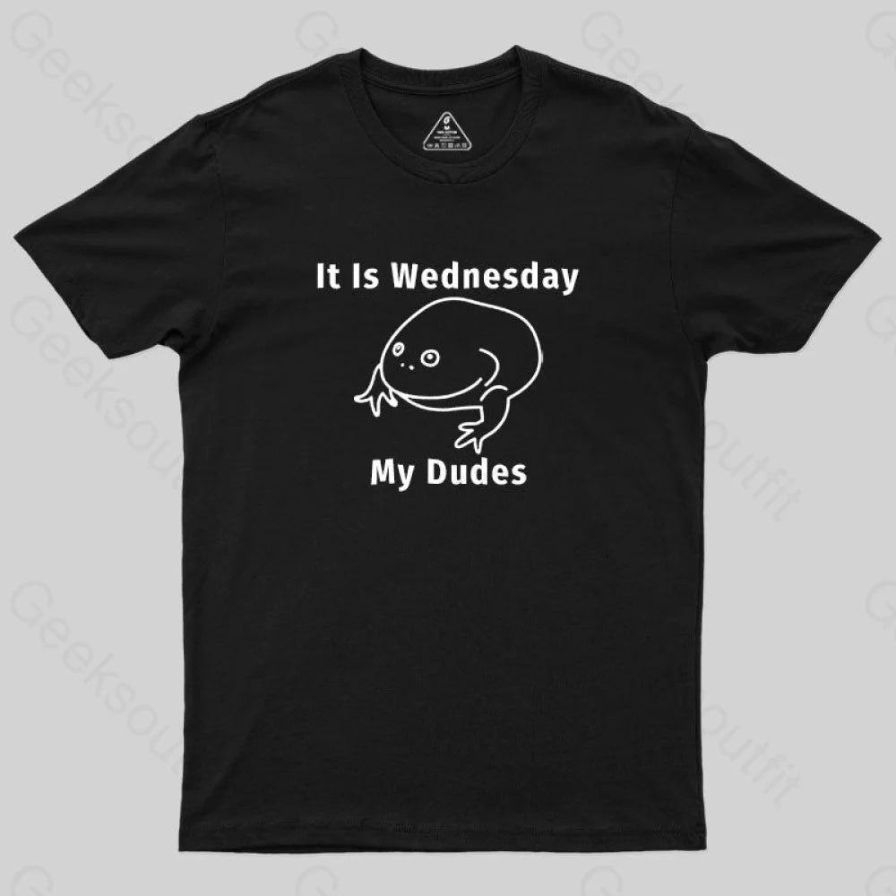 Wednesday Frog T-Shirt Cool Women's Skate