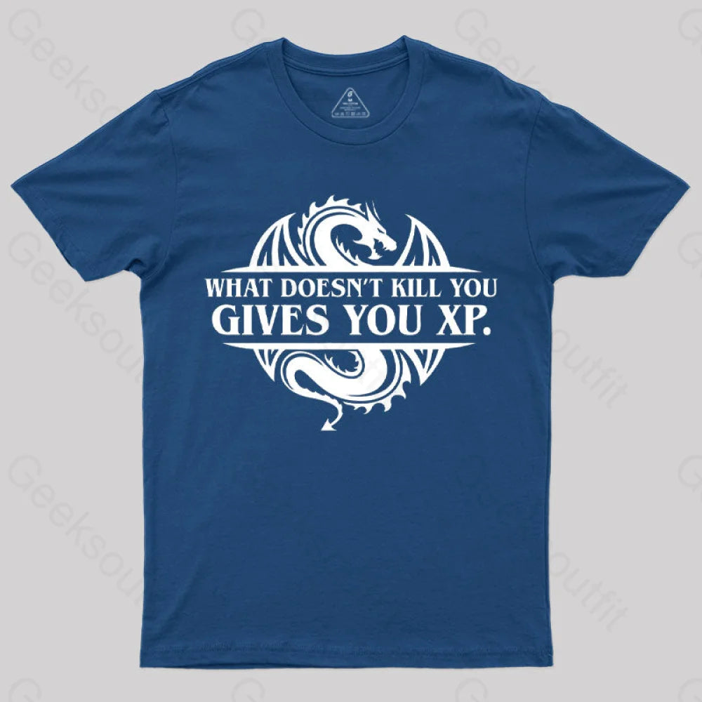 What Doesnt Kill You Give You Experience T-Shirt